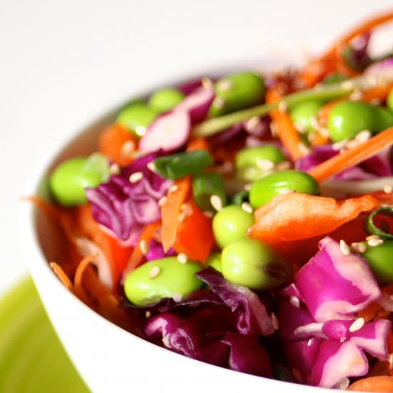 Rainbow Pad Thai Salad - Recipe photo by TheGirlWithTheSpatula