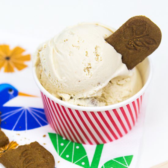 Cookie Butter Ice Cream - Recipe photo by sarahhearts