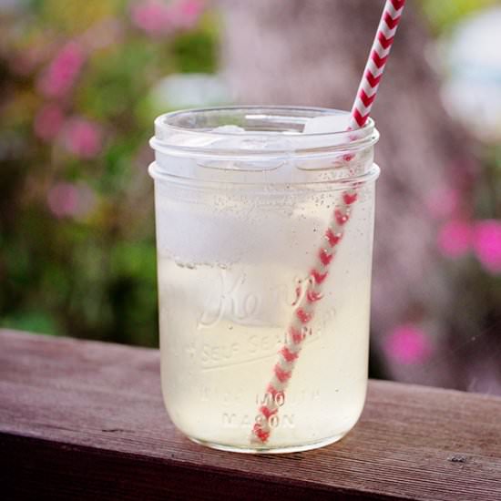Fresh Lemongrass-Ginger Ale - Recipe photo by gardenbetty