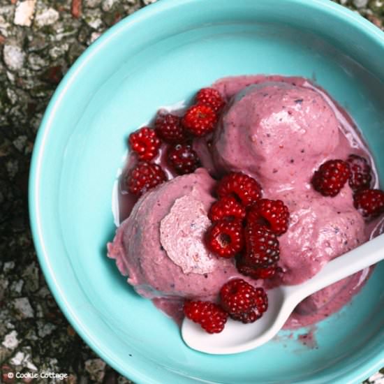 Summer berries ice cream - Recipe photo by Cookie Cottage