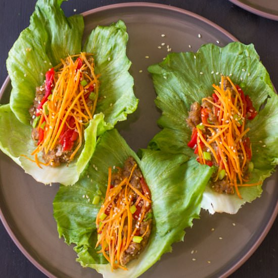 Vegan Asian Lettuce Wraps - Recipe photo by jessicainthekitchen