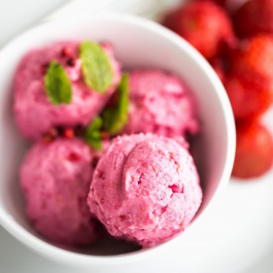 Red berry frozen yogurt - Recipe photo by theslimduck