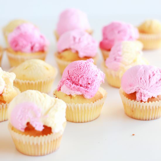 Ice Cream Cupcakes - Recipe photo by highwalls
