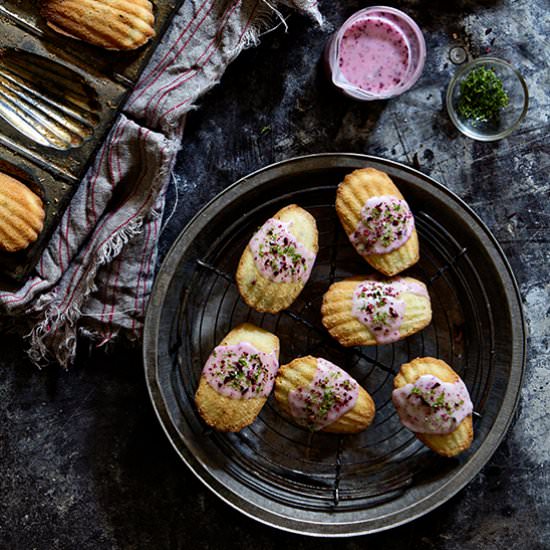 Lime and Hibiscus Madeleines - Recipe photo by BakersRoyale
