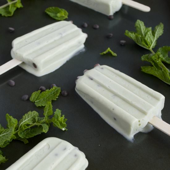 Mint Chocolate Chip Popsicles - Recipe photo by plaidandpaleo