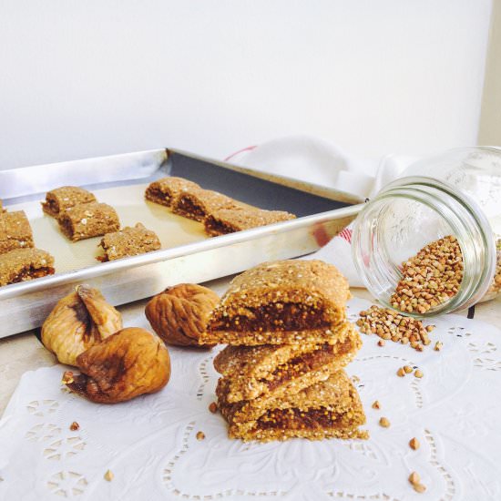 Raw Vegan Fig Rolls - Recipe photo by Heypopsicle