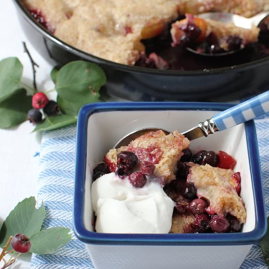 Saskatoon Berry Slump - Recipe photo by kitchen frau