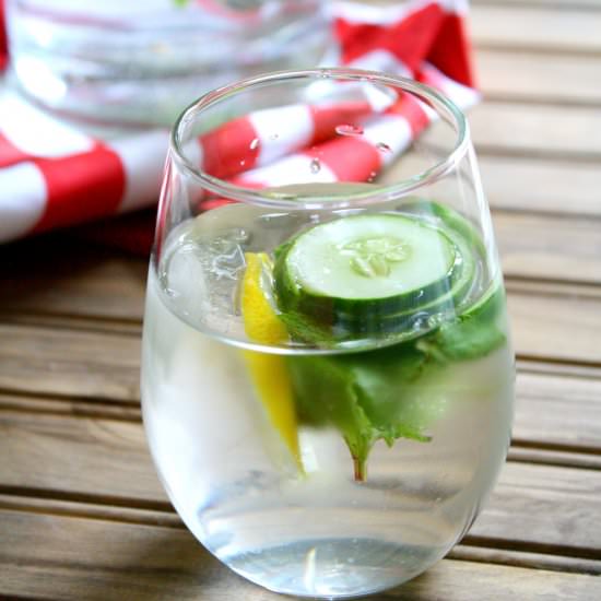 Lemon Cucumber Mint Water - Recipe photo by thetastybite