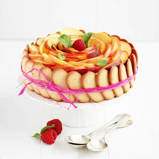 Peaches Charlotte - Recipe photo by momi