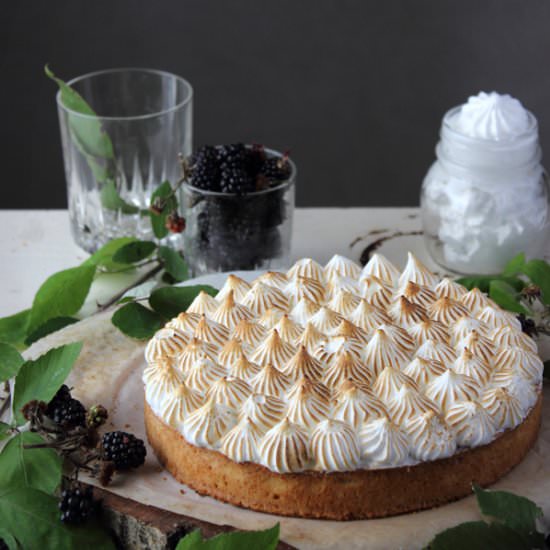 Blackberry Meringue Tart - Recipe photo by craftmarmalade