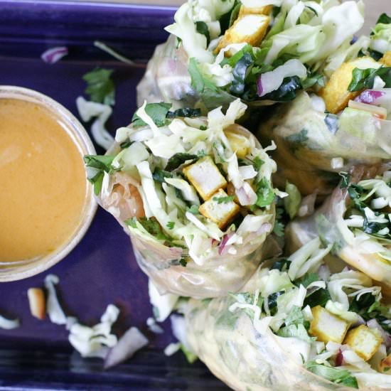 Chipotle Lime Fresh Rolls - Recipe photo by Poppies and Papayas