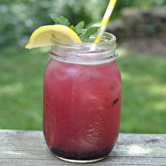 Lemon Blueberry Mint Iced Tea - Recipe photo by Hezzi-D