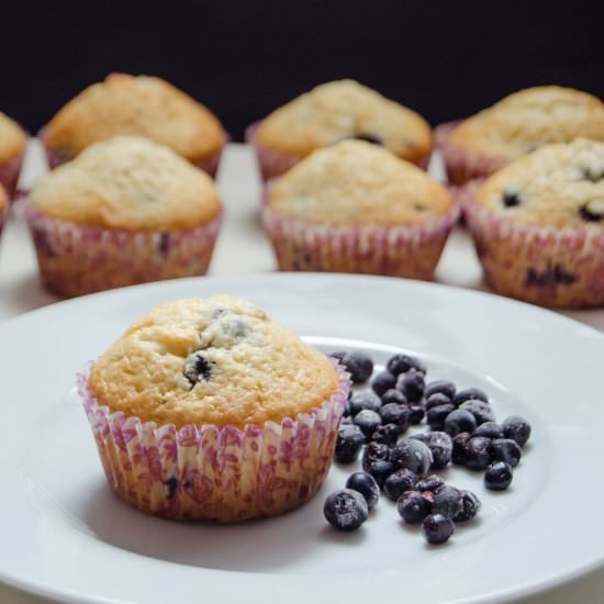 Vanilla Blueberry Muffins - Recipe photo by PastryWorkshop