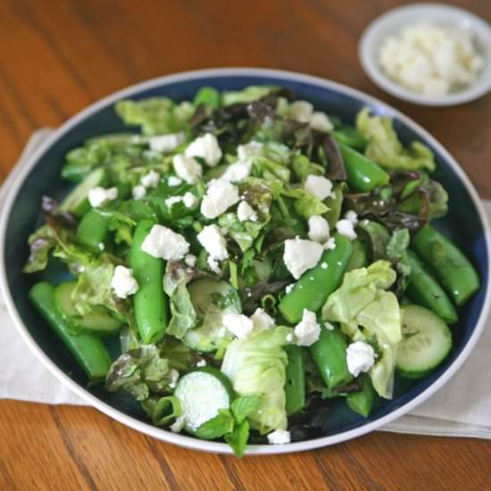 Snap Pea and Cucumber Salad - Recipe photo by BourbonAndHoney