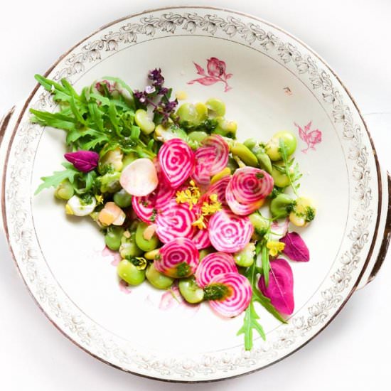 Chioggia Beets and Fave Salad - Recipe photo by s-kueche