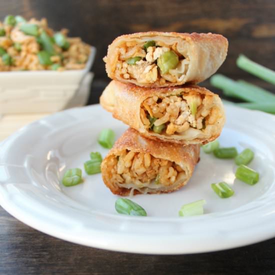 Chicken Fried Rice Egg Rolls - Recipe photo by Whitney Bond