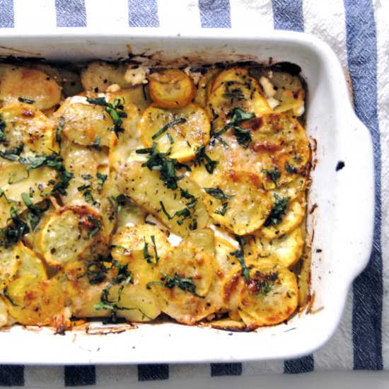 Summer Squash Gratin - Recipe photo by chubbysoul