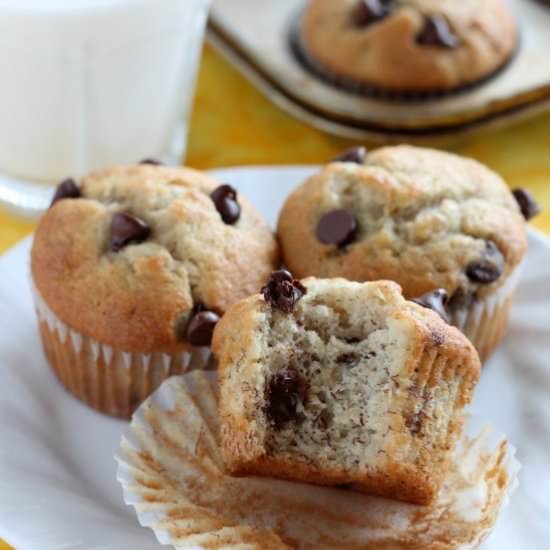Banana Chocolate Chip Muffins - Recipe photo by dessertnowdinnerlater