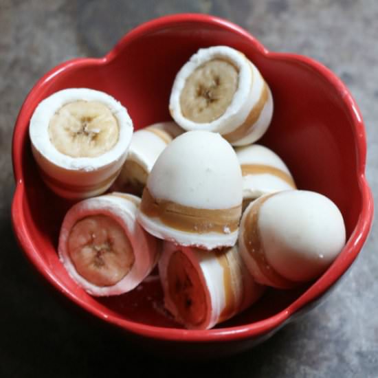 PB & Banana Smoothie Frozen Treats - Recipe photo by TimVidraEats