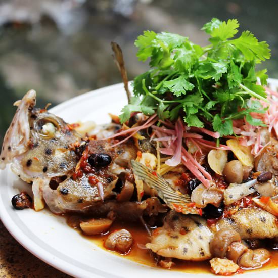 Thai Style Steamed Grouper Fish - Recipe photo by Dentist Chef