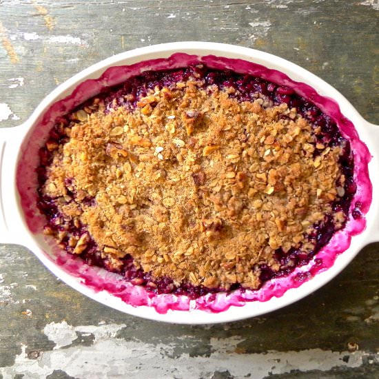 Blueberry Rhubarb Crisp - Recipe photo by the good eats co