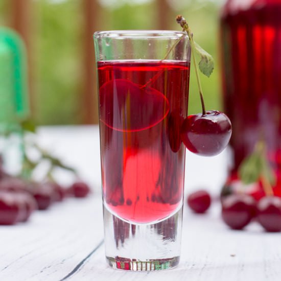 Homemade Sour Cherry Liqueur - Recipe photo by roxyskitchen