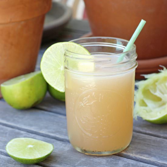 Hemingway Daiquiri - Recipe photo by TreeseLoveHappiness