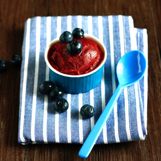 Vegan Blueberry Sorbet - Recipe photo by transglobalpanparty