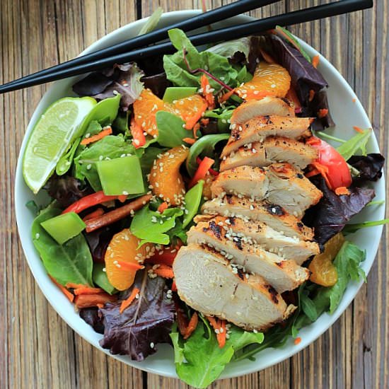 Asian Chicken Salad - Recipe photo by joyfulhealthyeats