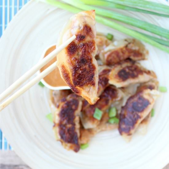 Thai Peanut Chicken Pot Stickers - Recipe photo by Whitney Bond