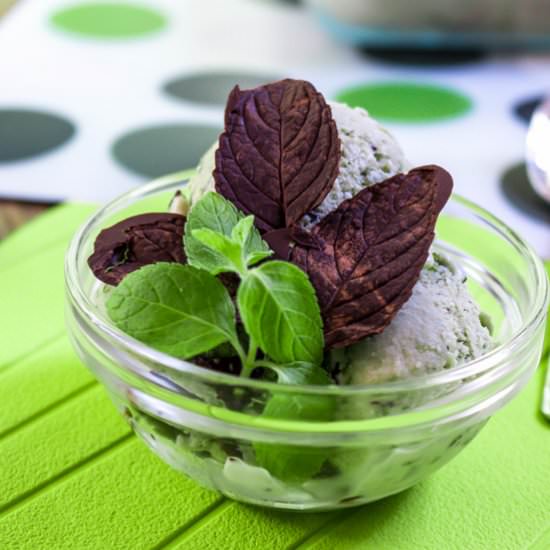 Fresh Mint Stracciatella Ice Cream - Recipe photo by samszho