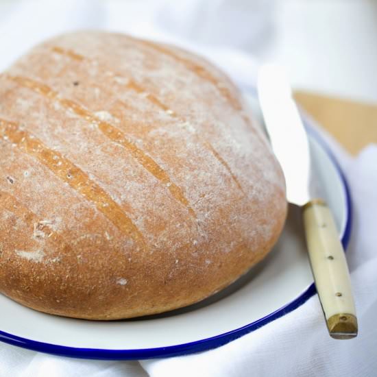Wholewheat beer bread - Recipe photo by theslimduck