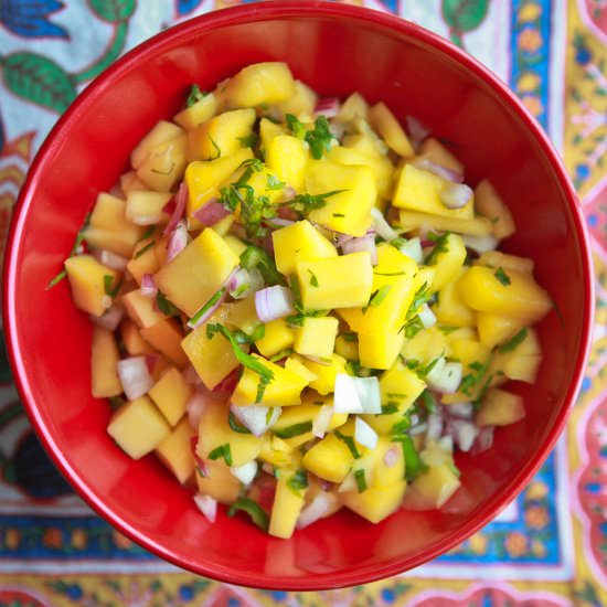 Fresh Mango Salsa - Recipe photo by kojodesigns
