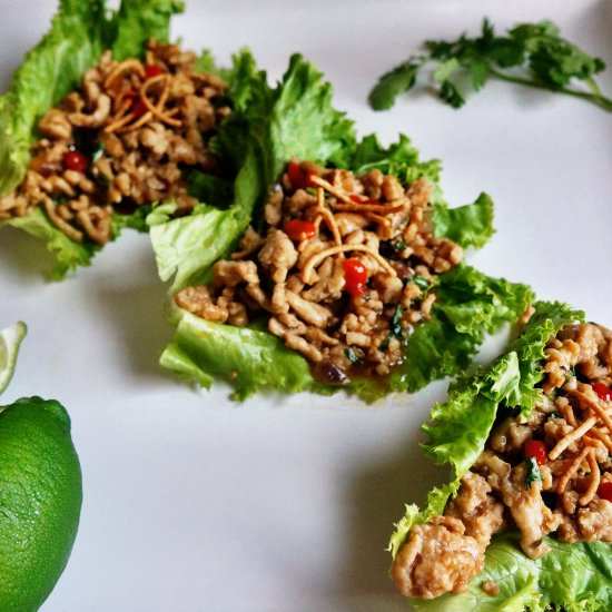 Asian Chicken Lettuce Wraps - Recipe photo by windycitydinnerfairy