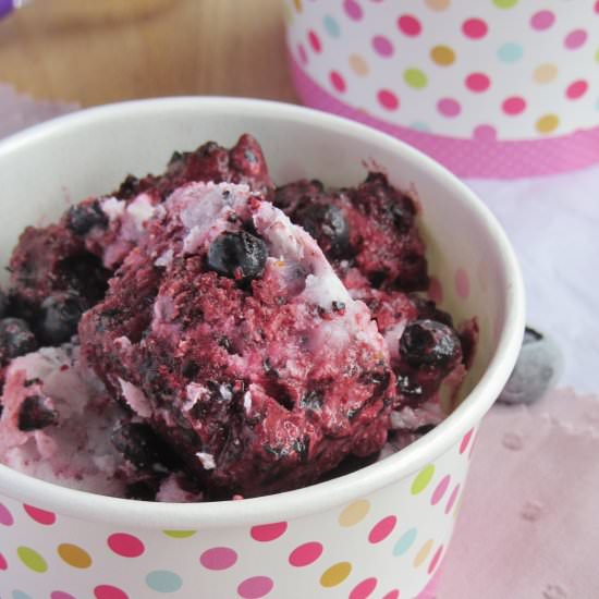 Blueberries and Coconut Milk Sorbet - Recipe photo by Iletaitunerecette