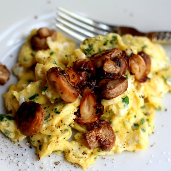 Marinated Mushrooms - Recipe photo by dearlaurenlovemom