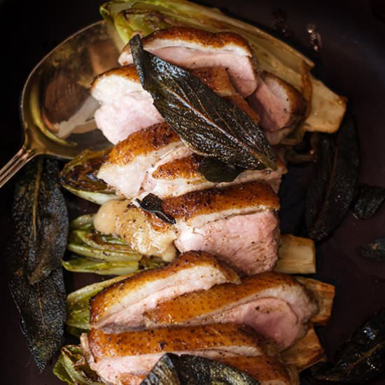 Seared Duck on Buttered Witlof - Recipe photo by thepinkdumpling