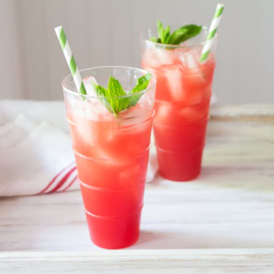 Watermelon Wine Cooler - Recipe photo by TheWimpyVegetarian