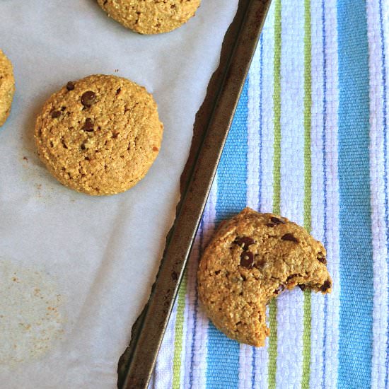 Classic Chocolate Chip Cookies - Recipe photo by youreananimal