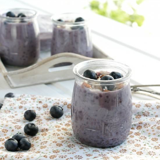 Blueberry tapioca pudding - Recipe photo by Nemacreditoqueesaudavel