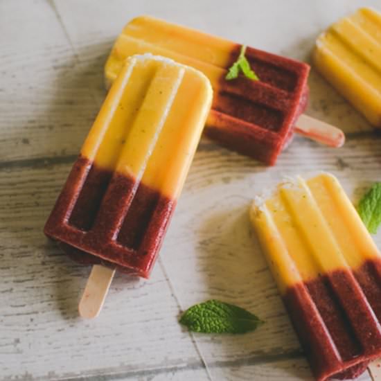 Mango Paradise Ice Pops - Recipe photo by TiffanyBee