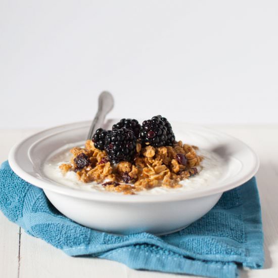 How to Make Yogurt At Home - Recipe photo by subscriptionmaven