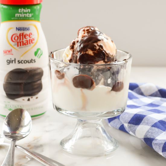 Thin Mint Hot Fudge Sauce - Recipe photo by serenabakessimplyfrom scratch