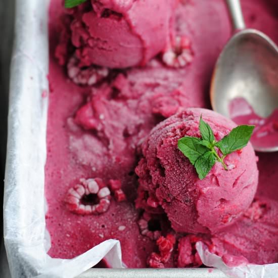 Mixed Berry Sherbet - Recipe photo by Soma