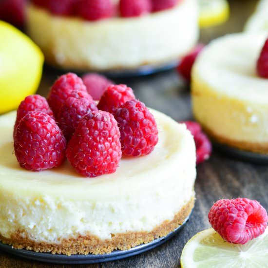 Mini Raspberry Lemon Cheesecake - Recipe photo by garnishandglaze