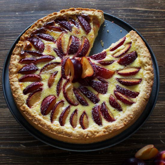 Plum Vanilla Tarte - Recipe photo by itsprettynice