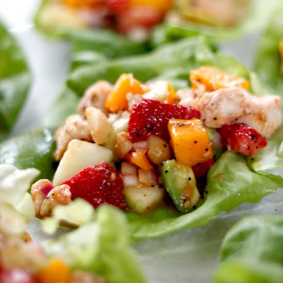 Poppy Seed Chicken Fruit Wraps - Recipe photo by carlsbadcravings