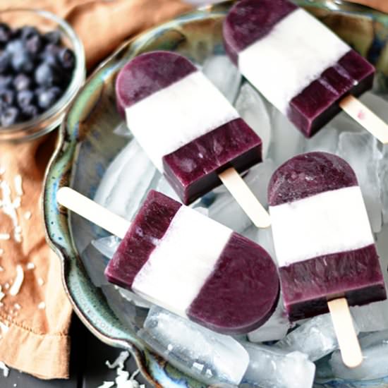 Blueberry Coconut Popsicles - Recipe photo by bethcakes
