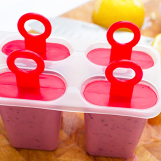 DIY Fruit Smoothie Popsicles - Recipe photo by bespoke-bride