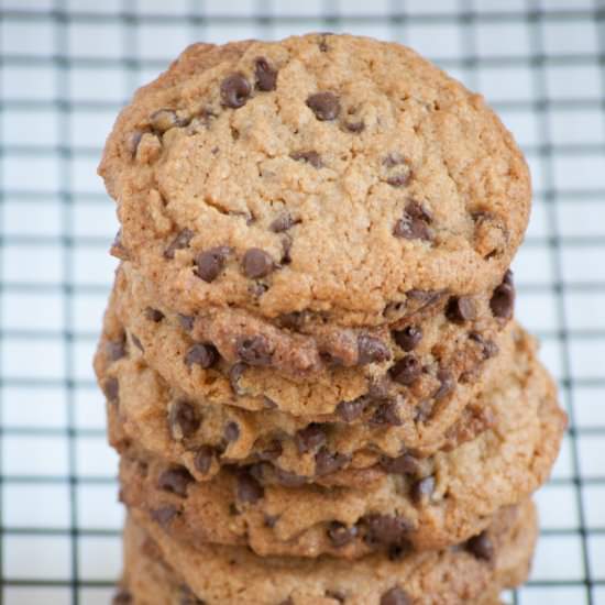 Peanut Butter Chocolate Chip Cookie - Recipe photo by Heathers Sweets And Treats